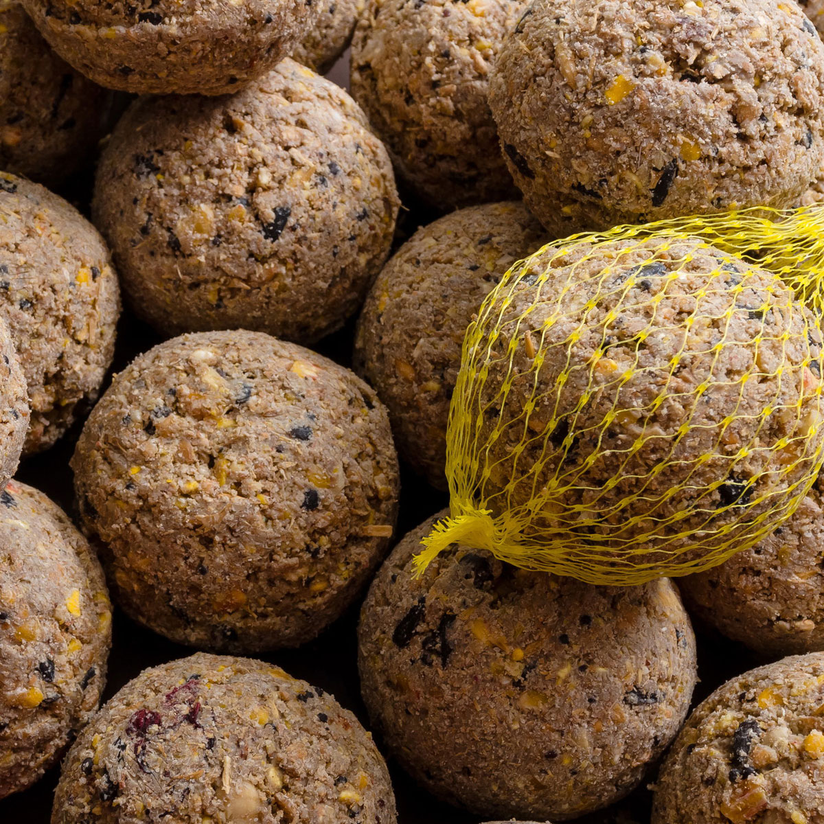 KOERNERKUGEL_FRUCHT_NETZ