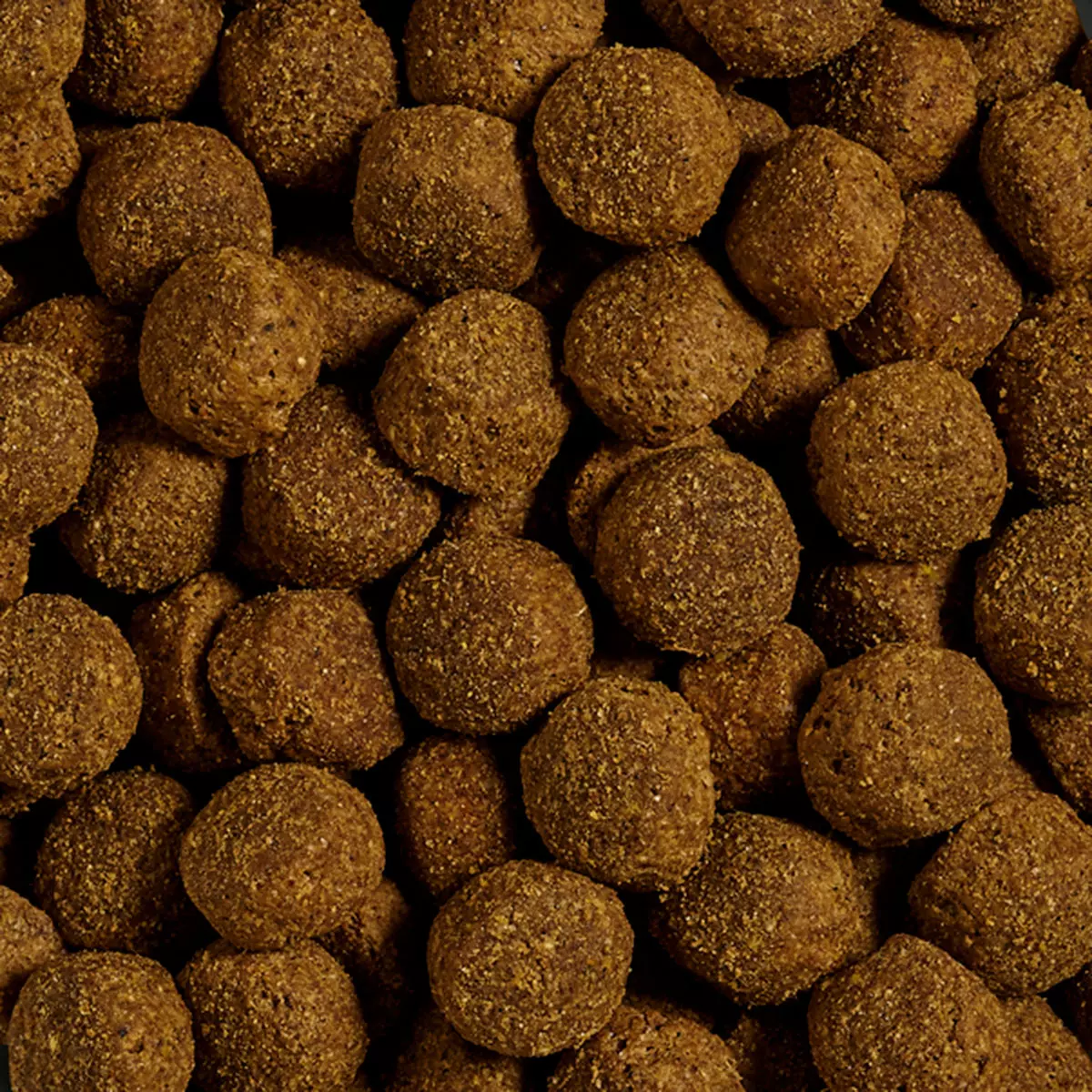 Carnebello - Trockenfutter Rind & Kartoffel getrei