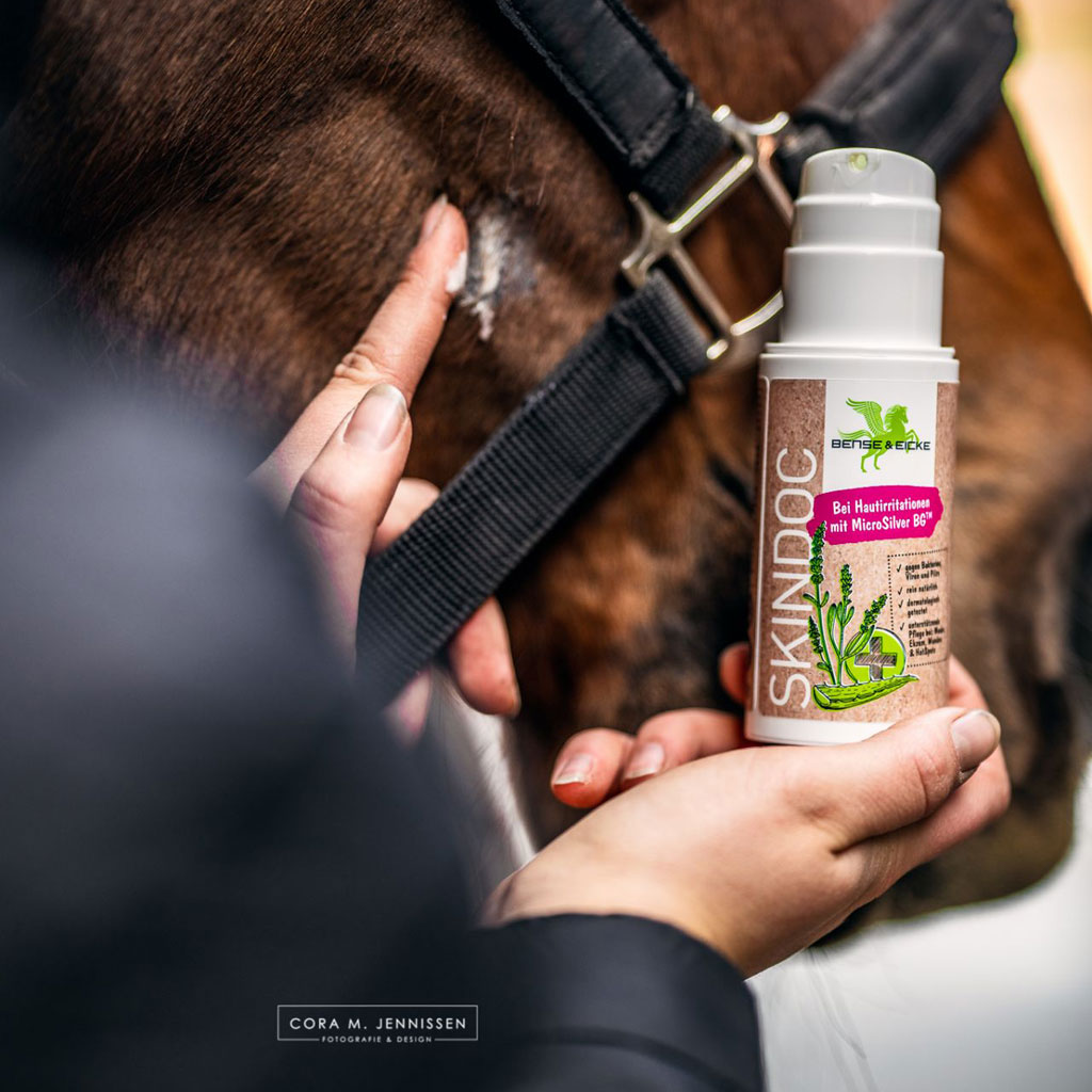 BENSE_EICKE_1930_SKINDOC_ANWENDUNG_PFERD