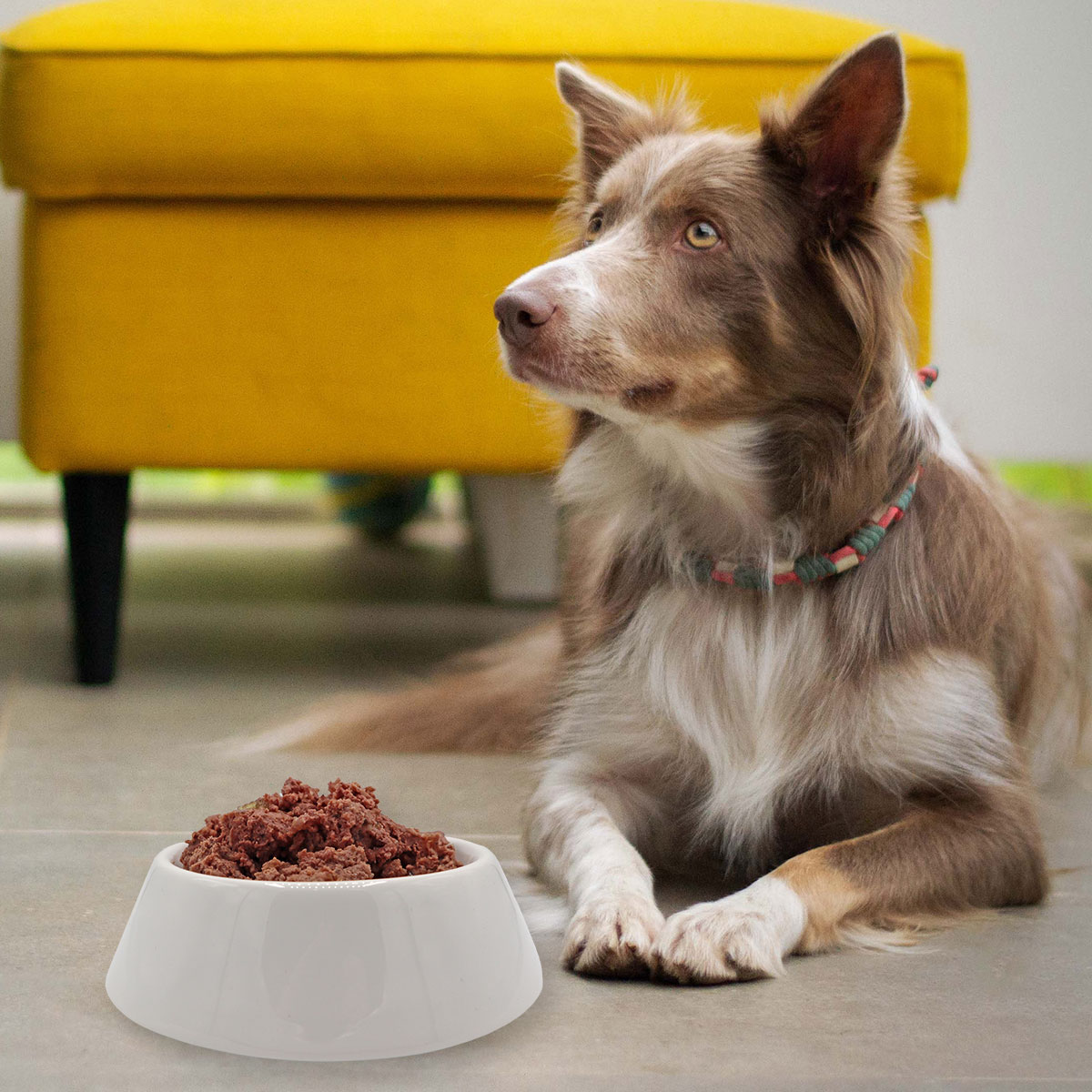 CARNEBELLO_NASSFUTTER_GEFLUEGEL_9002_MOOD