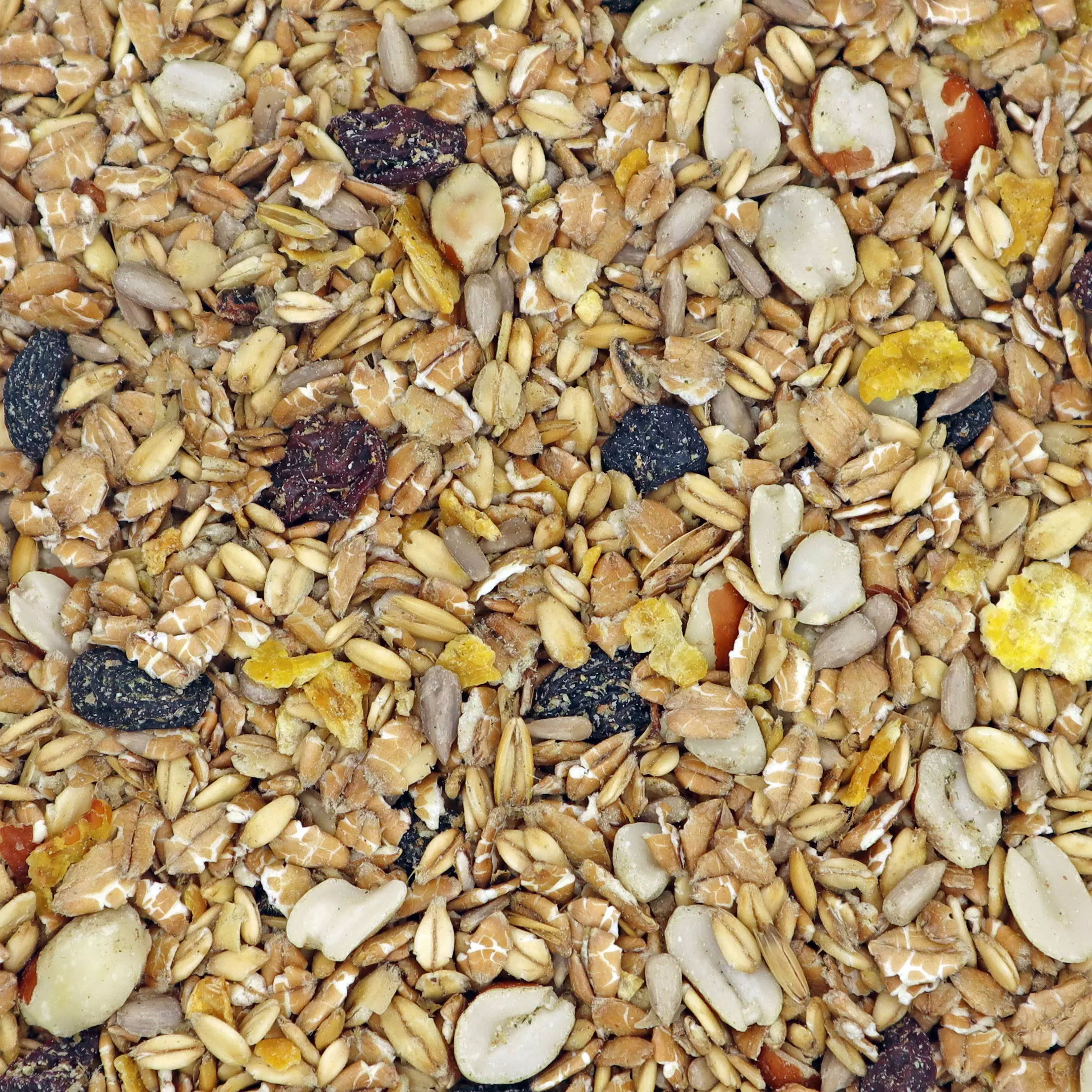 volaris - Terrassenkörner schalenlos 3 kg