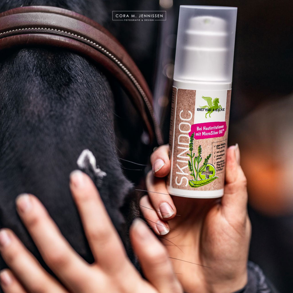 BENSE_EICKE_1930_SKINDOC_ANWENDUNG_DETAIL