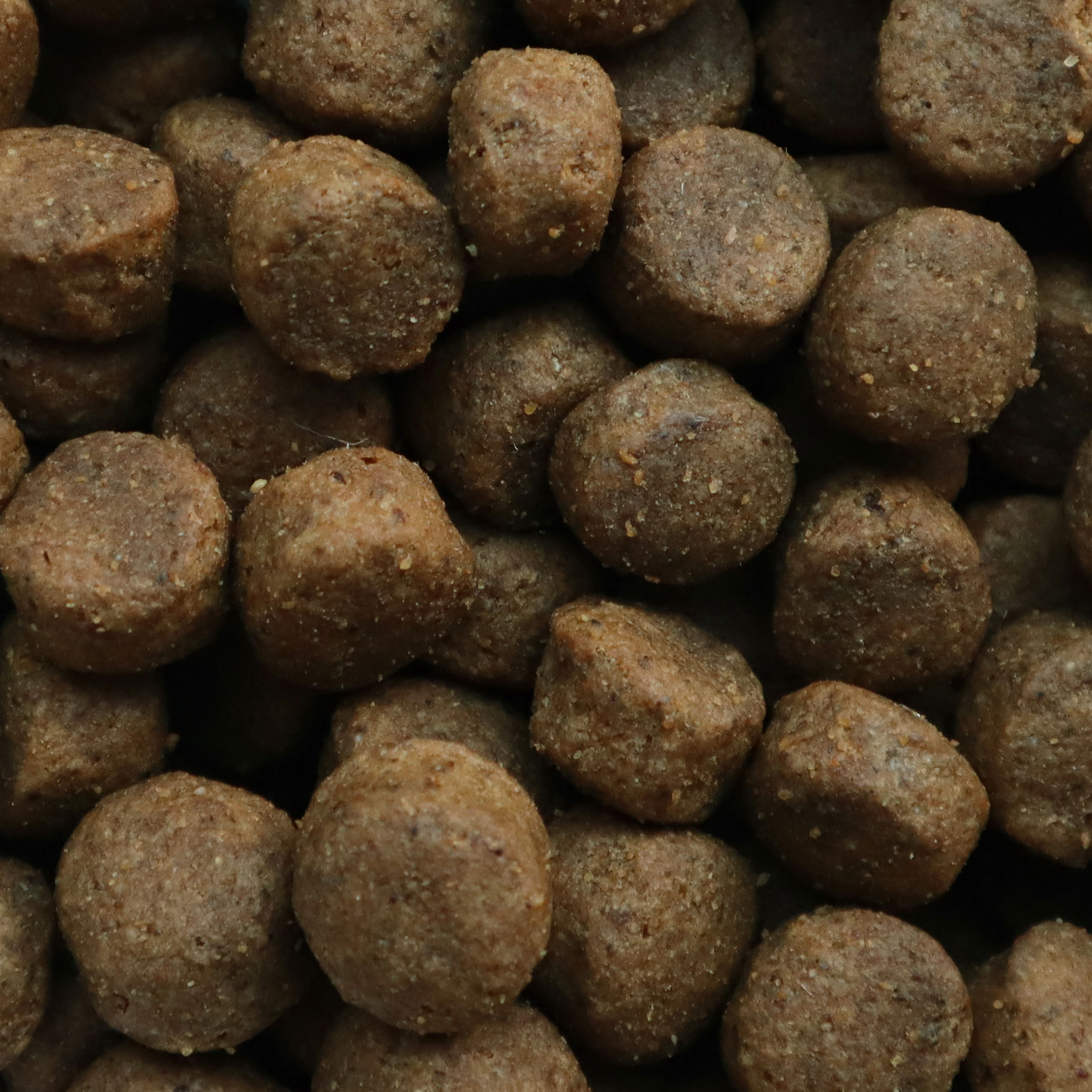 CARNEBELLO_GEFLUEGEL_KARTOFFEL_HUNDETROCKENFUTTER_9014_DETAI