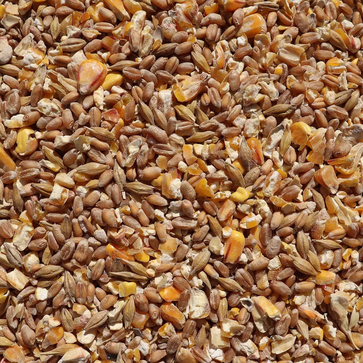 Körnerpick - Körnerfutter Basic 25 kg