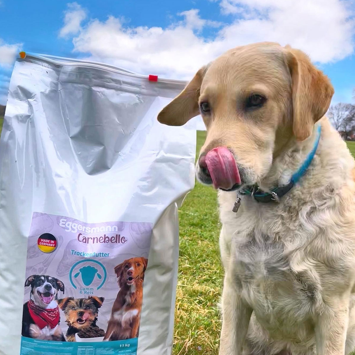 CARNEBELLO_TROCKENFUTTER_LAMM_REIS