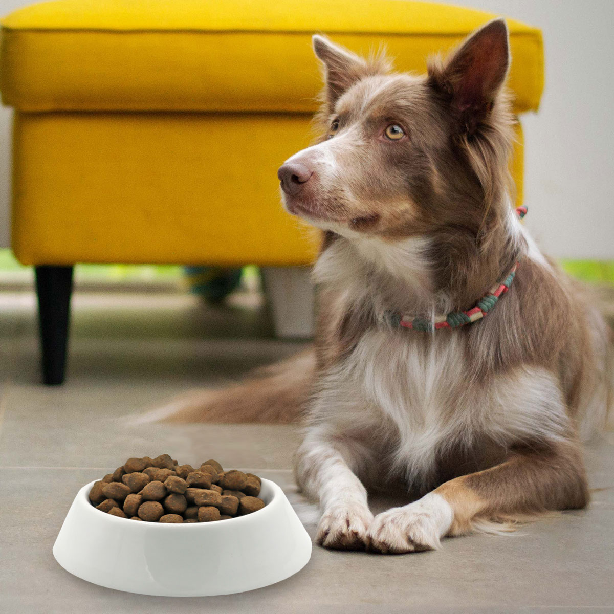 CARNEBELLO_TROCKENFUTTER_GEFLUEGEL_KARTOFFEL