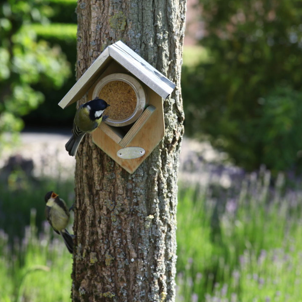 8118-935-EGGERSMANN-VOLARIS-ERDNUSSBUTTER-MOOD