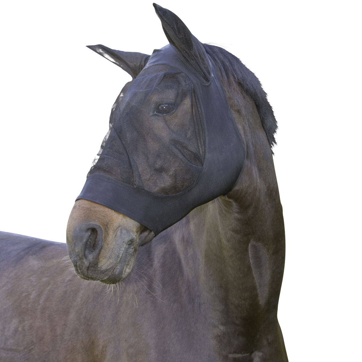 9995_039_COVALLIERO_FLIEGENSCHUTZMASKE_FINOSTRETCH_SCHWARZ_P