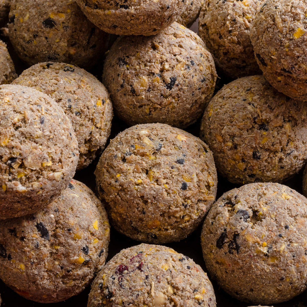 KOERNERKUGEL_FRUCHT_OHNE_NETZ