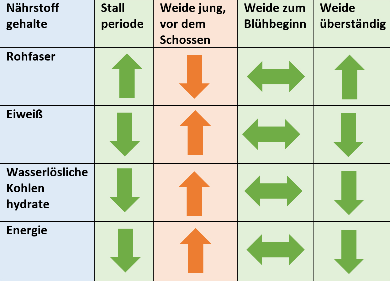 Grundlagenwissen-Weidesaison
